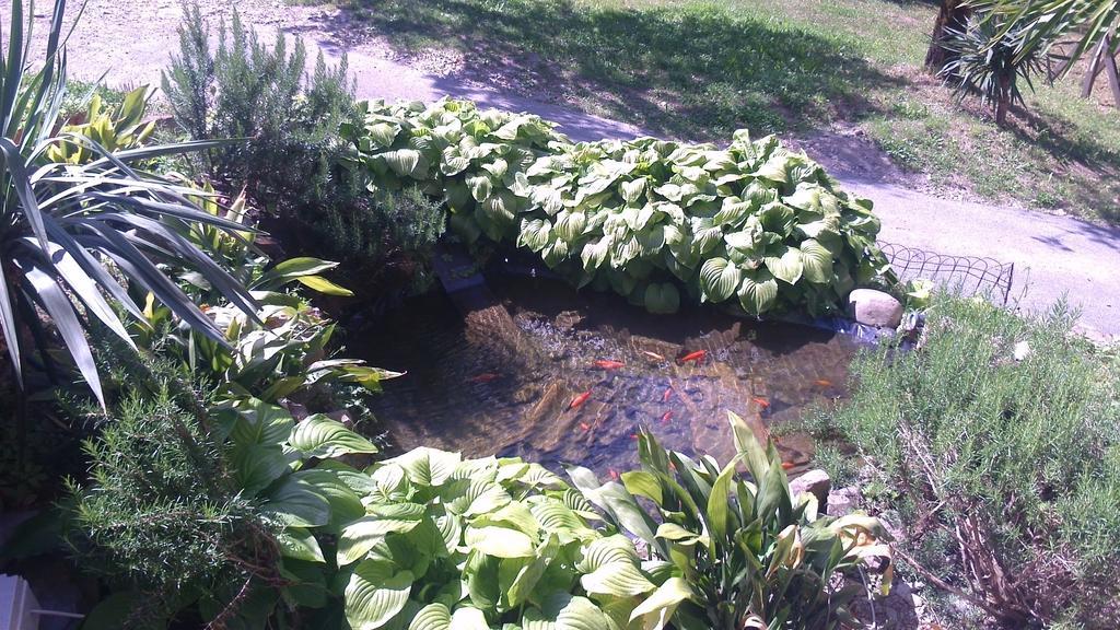 Hotel Ristorante El Caracol Mulazzo Dış mekan fotoğraf